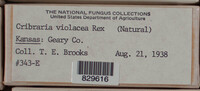 Image Associated With the Occurence